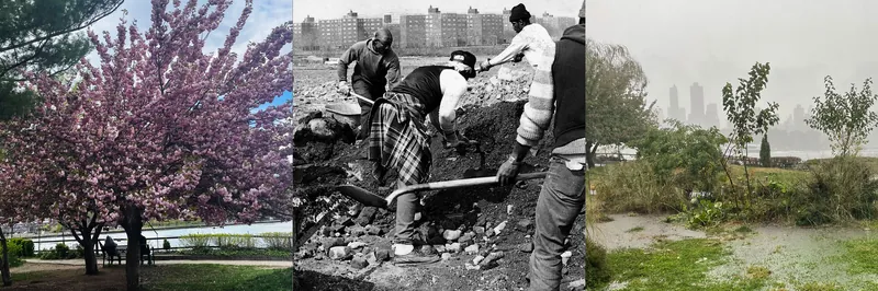 Ecologies of Care at Socrates Sculpture Park