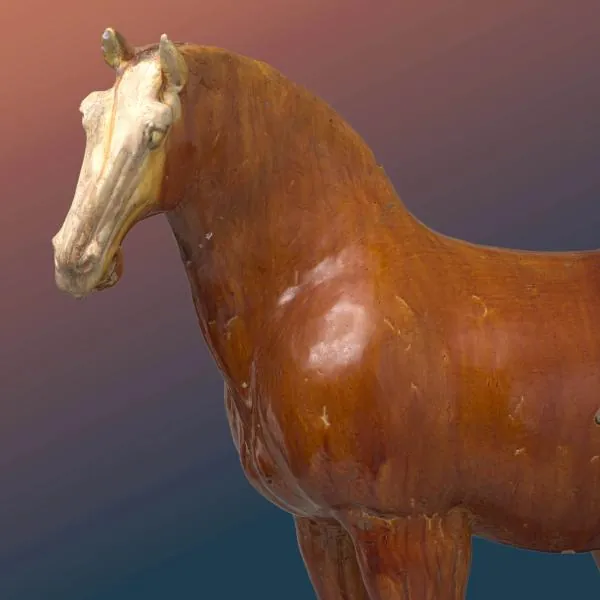 Celebrando el Ano del Caballo
