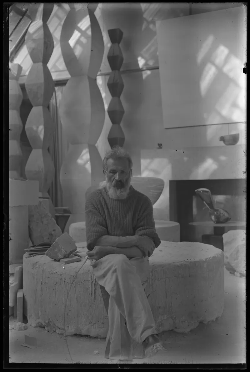 Brancusi: El artista y su estudio