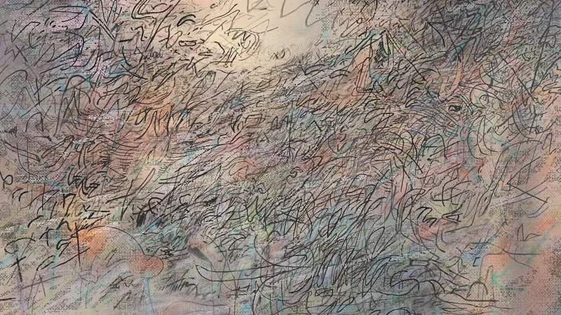 Julie Mehretu