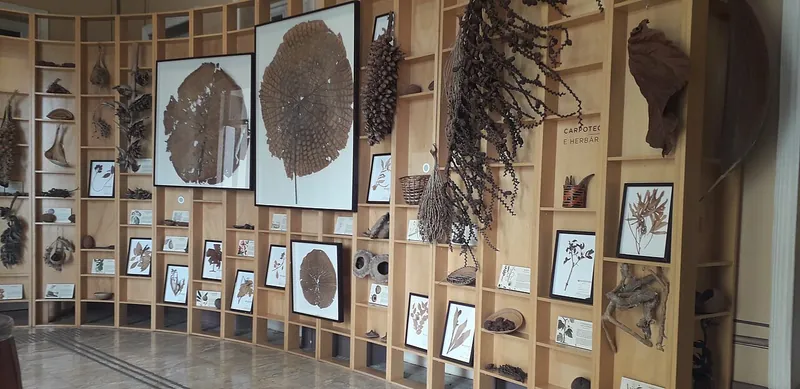 Exposição Mercado